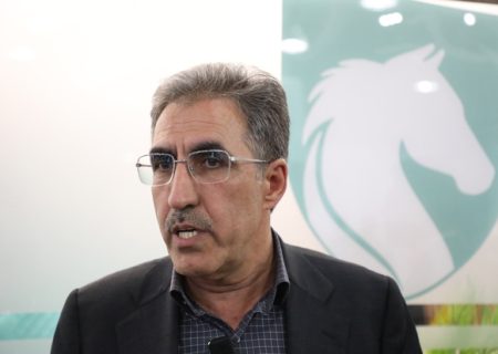 مدیریت ایران‌خودرو نمونه موفق واگذاری واقعی به بخش خصوصی است